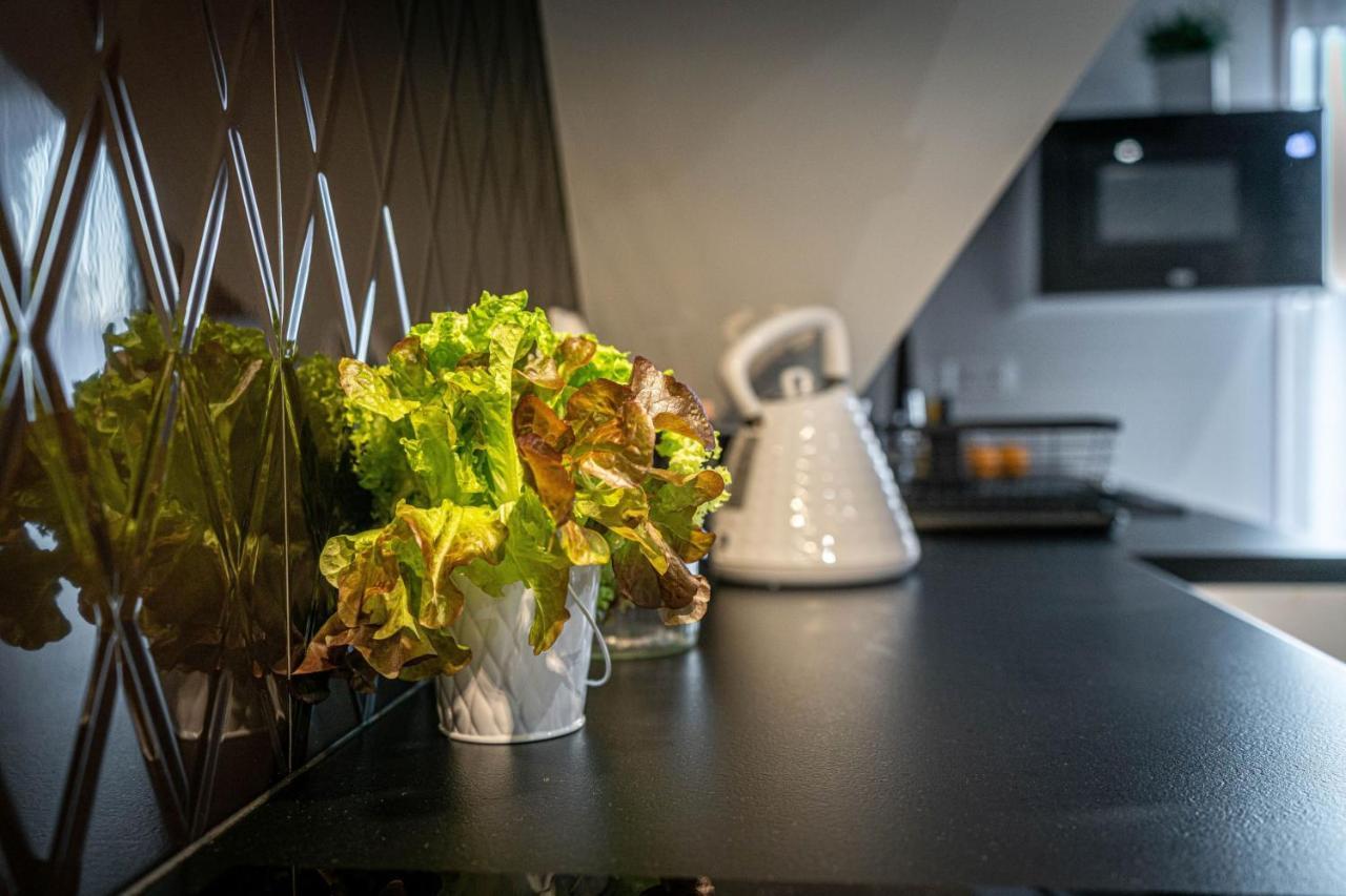 Stylovy Apartment เบียลกาตัทร์ชันสกา ภายนอก รูปภาพ